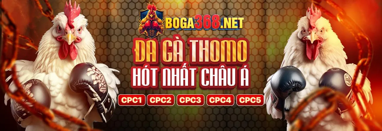 Phân tích tương lai của iGaming với n188n